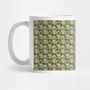 Blooming apple tree flowers Mug